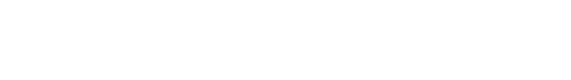 Primary Raster logo